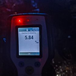Z plzeňské lavičky s 5,84 promile rovnou na záchytku 