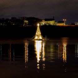 Za plovoucím stromem na Borské přehradě dojdou děti s lampiony