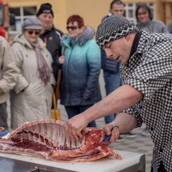Zabijačkové pochoutky mizely na Skvrňanech řezníkům pod rukama