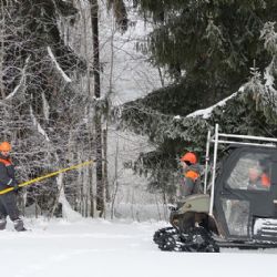 Žádné plánované odstávky elektřiny přes vánoční a novoroční svátky 
