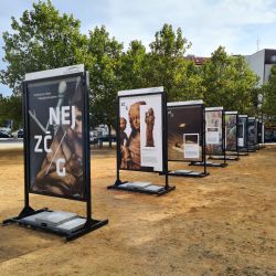 Západočeská galerie představuje U Zvonu to nejlepší ze sbírek