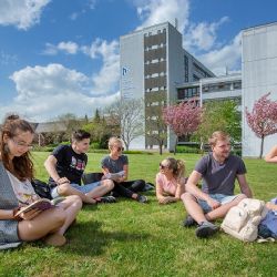 Západočeská univerzita láká na nové studijní obory