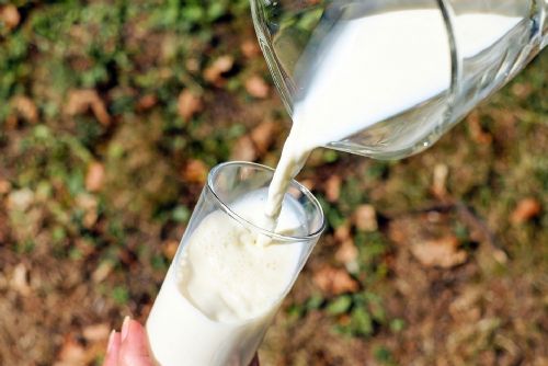 Foto: Zemědělci z kraje založili mlékařské družstvo Západ