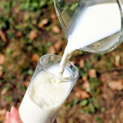 Zemědělci z kraje založili mlékařské družstvo Západ