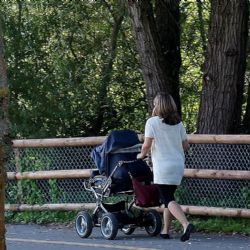 Žena s kočárkem u Třebnice venčila psy, ti pokousali kolemjdoucí. Pomoc neposkytla 