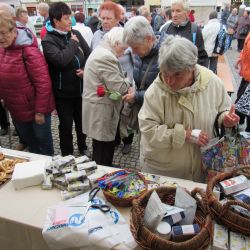 Zhruba stovka lidí se nechala vyšetřit v Sušici v rámci Dne seniorů