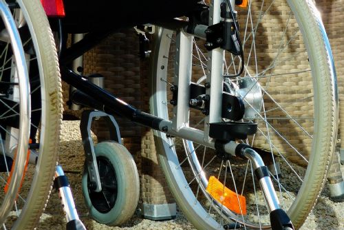 Foto: Ztráty a nálezy v Plzni: zubní protéza, plašič kun nebo invalidní vozík