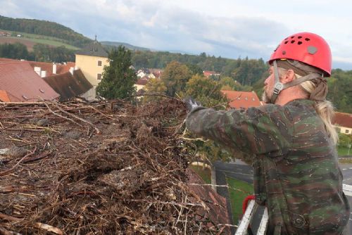 Foto: Zvířecí záchranáři upravovali čapí hnízdo v Horažďovicích