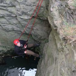 Zvířecí záchranáři vysvobodili žábu ze studny na Radyni