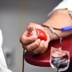 Rokycanská nemocnice hledá nové dárce krve, chystá akci 