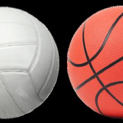 16. ZŠ a MŠ si nakoupí díky daru sportovní pomůcky