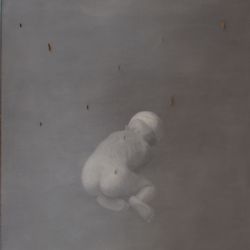 Petr Nikl - Mezi motýli