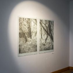Výtvarná dílna pro rodiče s dětmi k výstavě Stoleté putování Šumavou