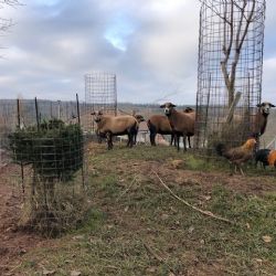 Chovatelské oplocení instalované firmou Ploty Kodl, s.r.o. v Otročíněvsi