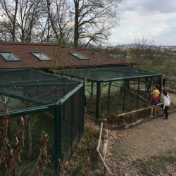Oplotili jsme pavilon drápkatých opic v ZOO Plzeň