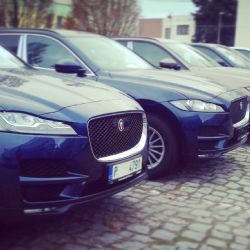 JAGUAR O PŮL MILIONU LEVNĚJI