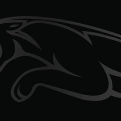 JAGUAR SE SLEVOU 369 TISÍC KČ