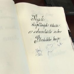 PLZEŇSKÁ 1: Hejtman ocenil nejlepší zdravotníky