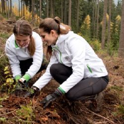 V rámci projektu ŠKODA Stromky je za každý prodaný vůz ŠKODA na území České republiky zasazen jeden strom