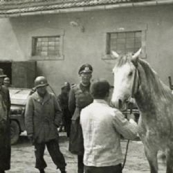 Američané dovezli kapitulaci veliteli milionové německé armády