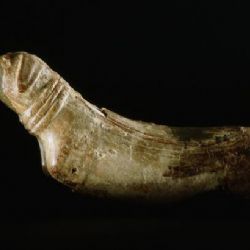 Archeologové našli katakomby s mumiemi psů