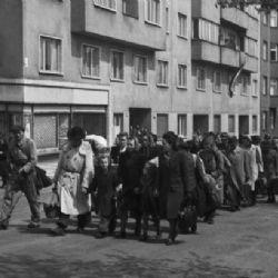 Brno lituje divokého odsunu. První by se ale měli omluvit Němci, míní Hašek