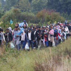 Budapešť stvrdila nasazení armády při ochraně hranic