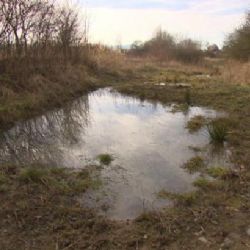 EK žádá po Česku rozšíření národního seznamu evropsky významných lokalit