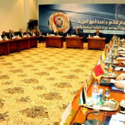 Jednotně proti teroru: Arabské státy budou mít společnou jednotku