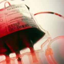 Lidé s pozitivním Rh a různými rodiči jsou zdravější, zjistili čeští vědci