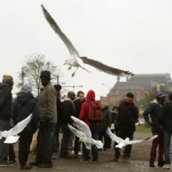 Londýn přitvrdí proti imigrantům pracujícím v Británii načerno