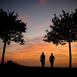 Na začátku podzimu bude teplo a sucho, předpovídají meteorologové