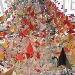 Origami pomáhají Martině, kterou útočník kyselinou připravil o zrak