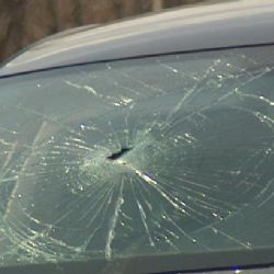 Policista při zásahu zastřelil v autě ženu. Hájí se, že ji neviděl