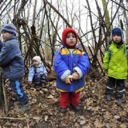 Poté, co zákon objasnil status lesních školek, jejich počet roste