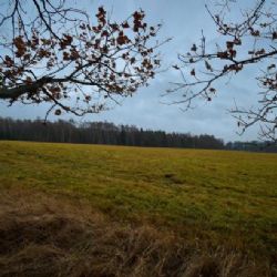 Přes 120 hektarů na Liberecku chce dát vnitro Polsku. Obce i kraj nesouhlasí