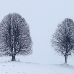 Přívaly sněhu zkomplikovaly dopravu v Německu i Rakousku