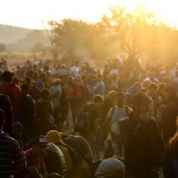 Rakouský kancléř kritizuje Česko kvůli uprchlíkům: Bez kvót se nepohneme dál