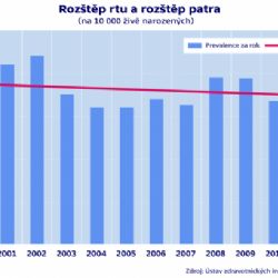 Rozštěp se dá odstranit skoro ihned. Operovány tak už byly stovky dětí