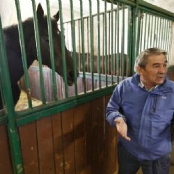 Sankce dopadnou i na Kadyrovovu dostihovou stáj v Česku