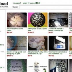 Šéf serveru Silk Road dostal doživotí