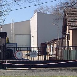 Skladování soch podle Knížáka: Desítky milionů za Myslbeka v poli