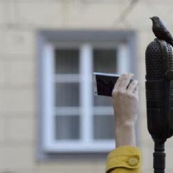 Skřivan na mikrofonu a slova od šibenice připomínají Miladu Horákovou