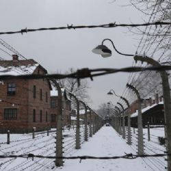 Slovensko chce kvůli úspěchu Kotleby zavést povinné exkurze do Osvětimi