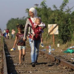 Středoevropští premiéři zamíří kvůli uprchlíkům do Prahy