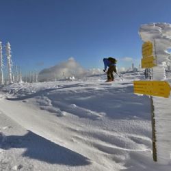 Šumava zažila teplotní šok, během týdne tam vzrostly teploty o 50 stupňů