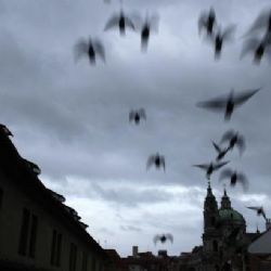 
Tři roky po smrti Havla. Myšlenky zůstaly a s nimi i jeho kritici
