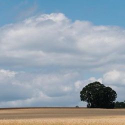 Třicítky z Česka vyprovodí bouřky. Sílu už ukázaly na Zlínsku