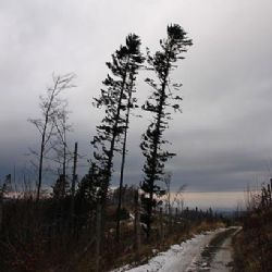 V noci na úterý bude silný vítr, meteorologové varují i před povodněmi