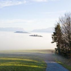 
Vánoce na blátě: Koncem prosince bude nad nulou
